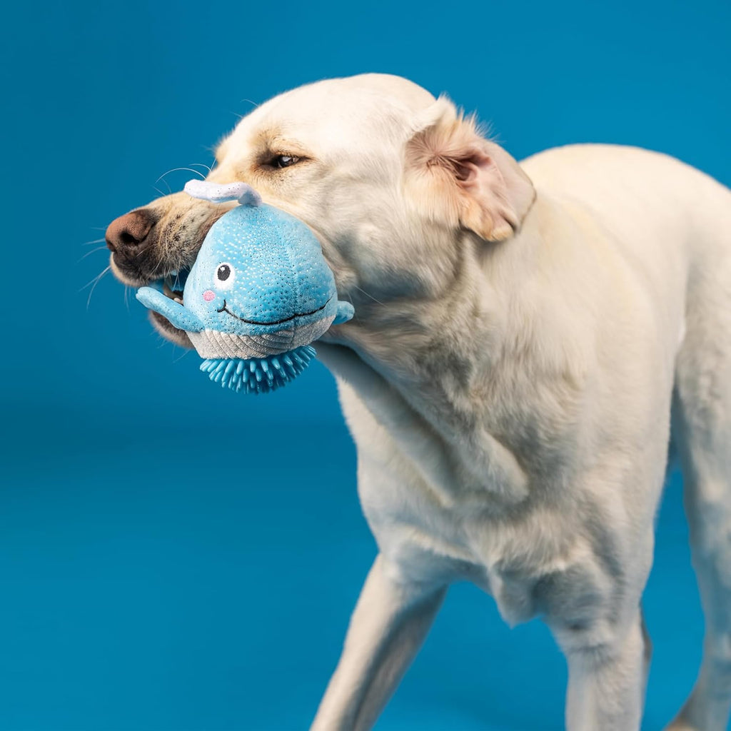 ZippyPaws Dog Toy, Feeling Whaley Good!, Teeth and Gum Cleaning TPR Spiky Ball, Pet Shop Collection (314604)