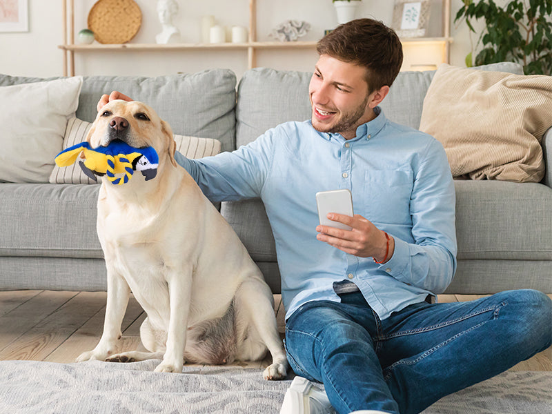 Squeaky Parrot Dog Toy with Rope Wings, Tug of War & Chew Interactive Plush Bird Toy for Small Medium Dogs, Indoor Puppy Play