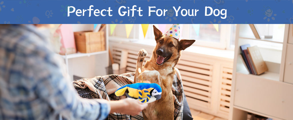 Squeaky Parrot Dog Toy with Rope Wings, Tug of War & Chew Interactive Plush Bird Toy for Small Medium Dogs, Indoor Puppy Play