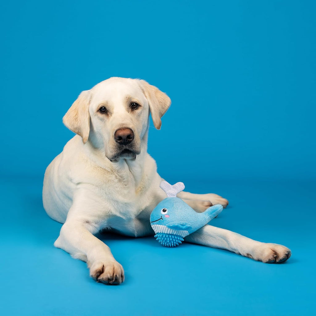 ZippyPaws Dog Toy, Feeling Whaley Good!, Teeth and Gum Cleaning TPR Spiky Ball, Pet Shop Collection (314604)