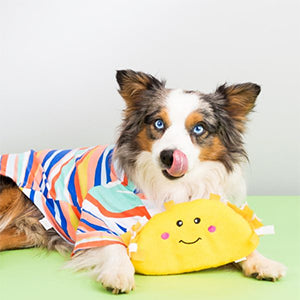 ZippyPaws NomNomz - Dog Squeaky Toys to Keep Them Busy, Funny Food Plush for Small & Medium Dogs, Cute Stuffed Puppy Toy, Pet Products, Gift for Dogs of All Breeds, Soft and Cuddly - Taco