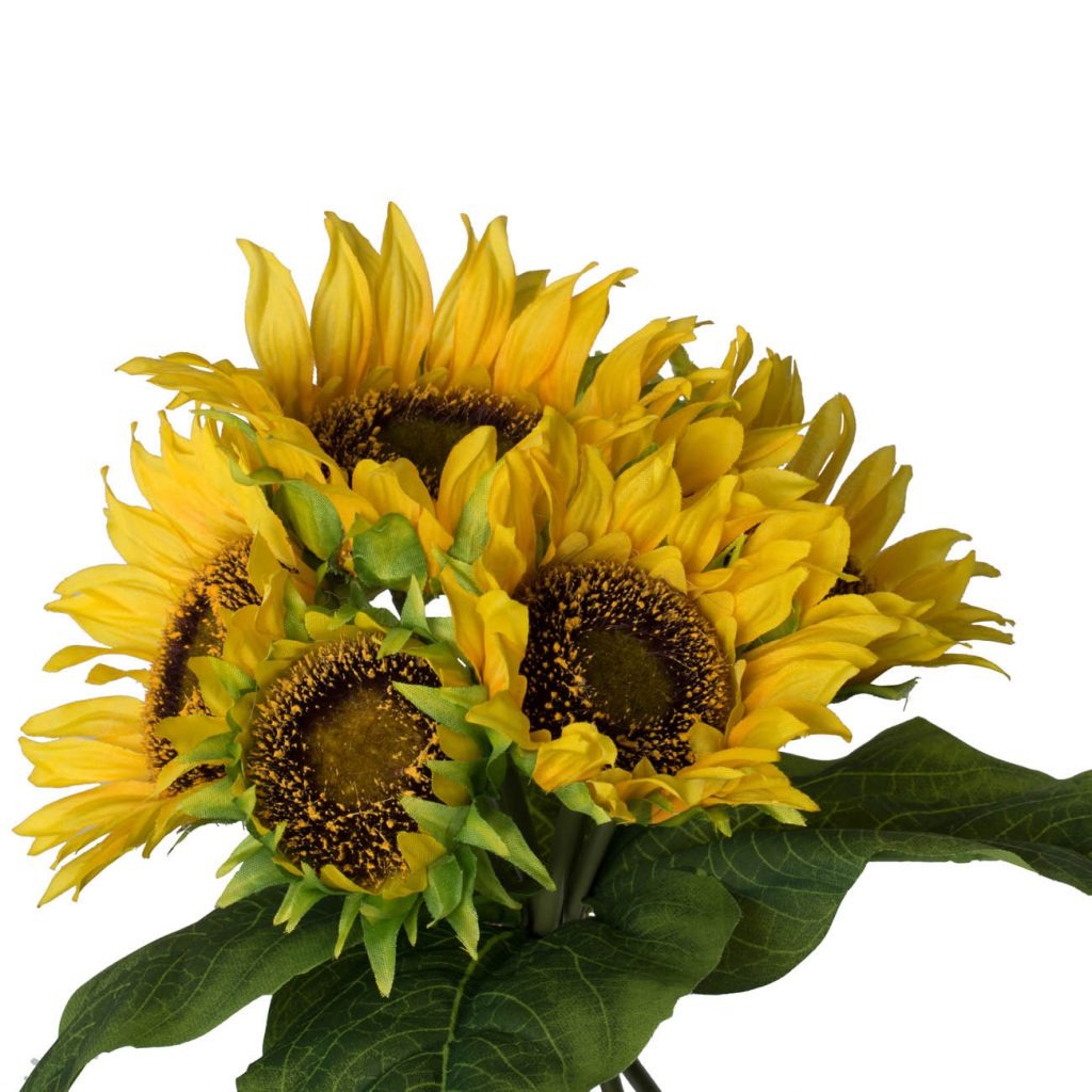 Set of 3, 14x14x15" Sunflower Bundle X7