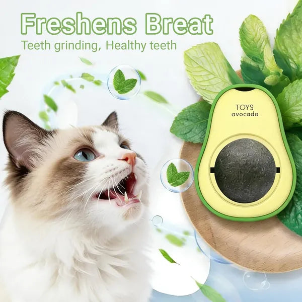 AEELLEEA Avocado Shaped Catnip Ball Toy, 360° Rotatable Silver Vine Cat Toy with Double-sided Tape, Wall Mount Interactive Teeth Cleaning Toy for Indoor Cats