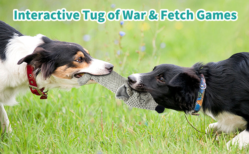 Dog Toys, Squeaky Plush No Stuffing Crinkle Dog Toy for Small Medium Large Dogs, [3 Pack] Interactive Puppy Teething Water Bottle Dog Chew Toy