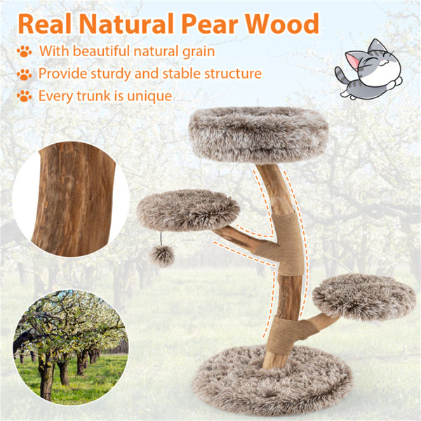 AEELLEEA 35.5-Inch Natural Wood Cat Tree with Plush Perches, Sisal Scratching Posts and Hanging Pom-Pom Toy