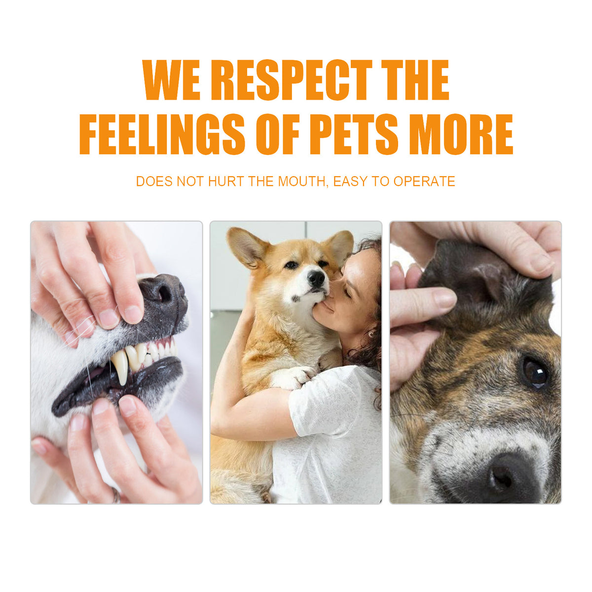 Pet Dental Finger Wipes for Dogs & Cats, 50 Pack – Gently Cleans Plaque & Tartar, Freshens Breath, No Toothbrush Needed