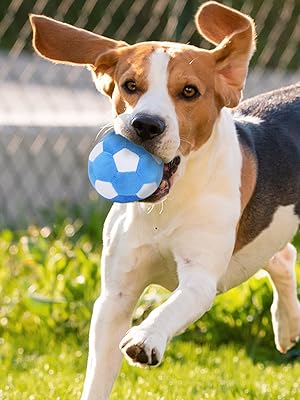 3-PACK Interactive Dog Toys Ball Suitable for Small and Medium Dogs, Soccer Ball, Football and Tennis Balls for Dogs, Stuffed with Fluffy Squeak Dog Toys, Puppy Dog Plush toys, Dog Birthday Gifts