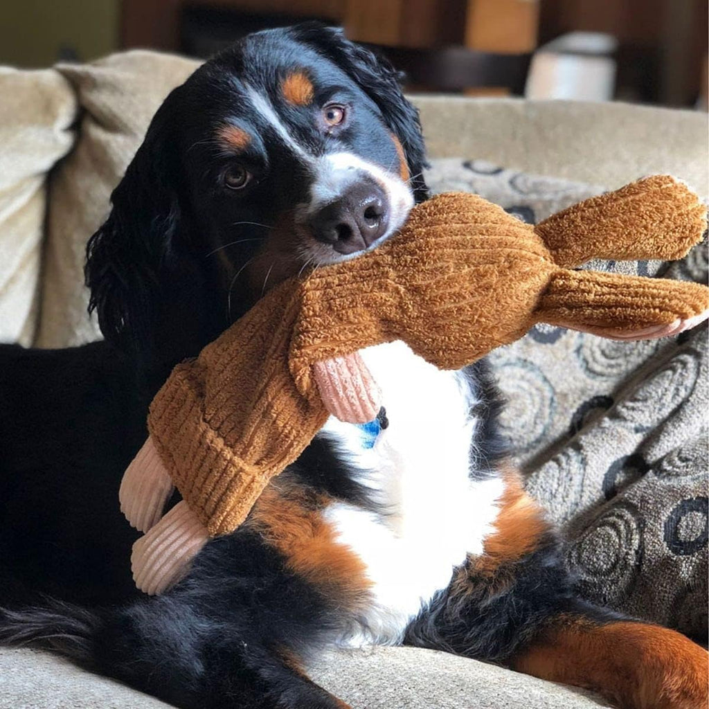 SmartPetLove Snuggle Puppy Tender-Tuffs - Whisper Rabbit Water Bottle Dog Toy - Bottle Cover Dog Toy