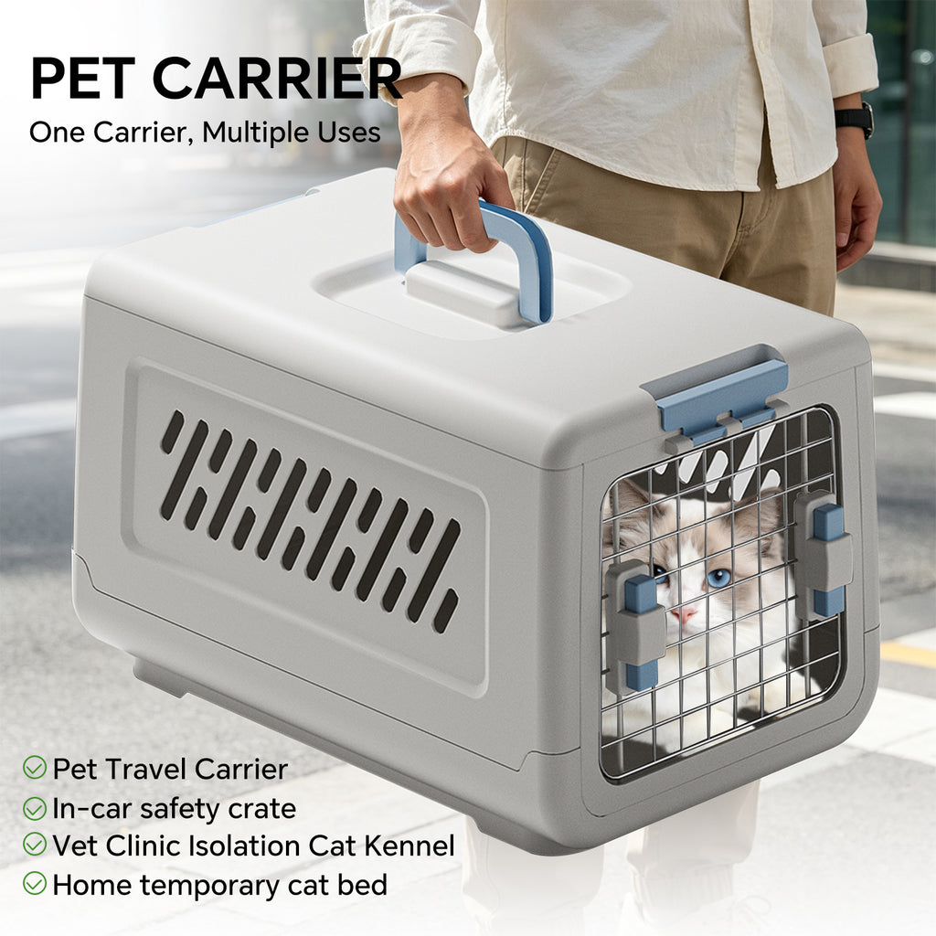Small Hard Sided Pet Carrier, Portable Ventilated Travel Crate with Metal Door and Handle for Small Dogs and Cats, Perfect for Car Rides, Vet Visits and Daily Use