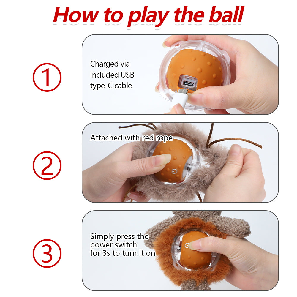 Interactive Indoor Cat Toys: Rabbit Cover Fast - Moving Ball, Bird Chirping Toy & Automatic Kitten Toys