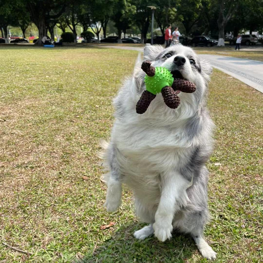 Squeaky Dog Toys, Interactive Durable Plush Pet Toys,Food Dispensing Toy,Funny Rubber Chew Puzzle Toy for Puppy Middle Large Dogs