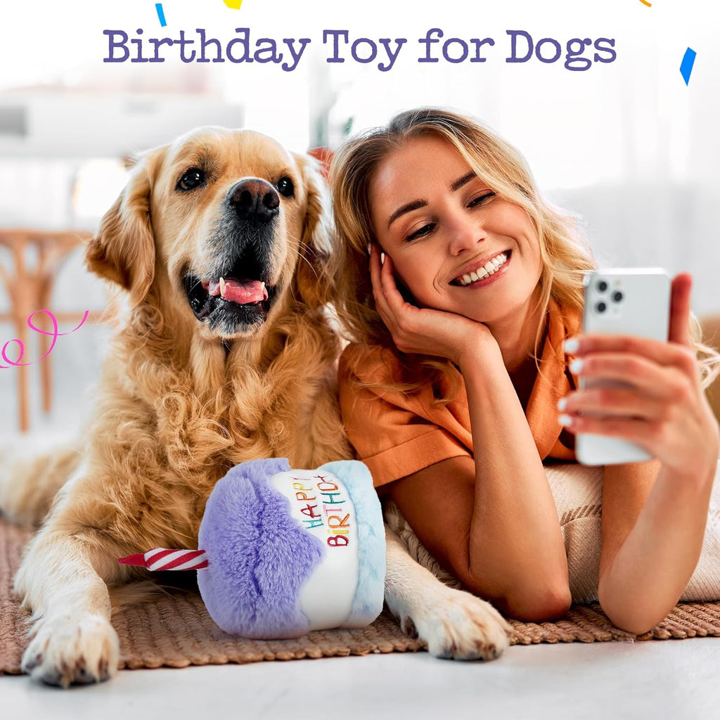 Dog Happy Birthday Cake Toy with Squeaker and Crinkle, Stuffed Plush Puppy Present for Birthday Party, Dog Toy for Small Medium