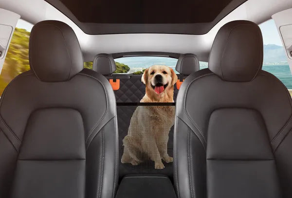 AEELLEEA Car Back Seat Pet Cover with Visual Mesh Waterproof Dog Seat Cover for Car Travel