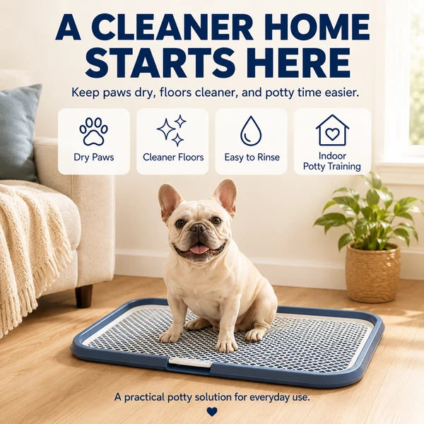 Aeelleea Dog Potty Tray with Removable Grating, Leak-Proof Indoor Puppy Toilet, Washable Pee Pad Holder for Apartment