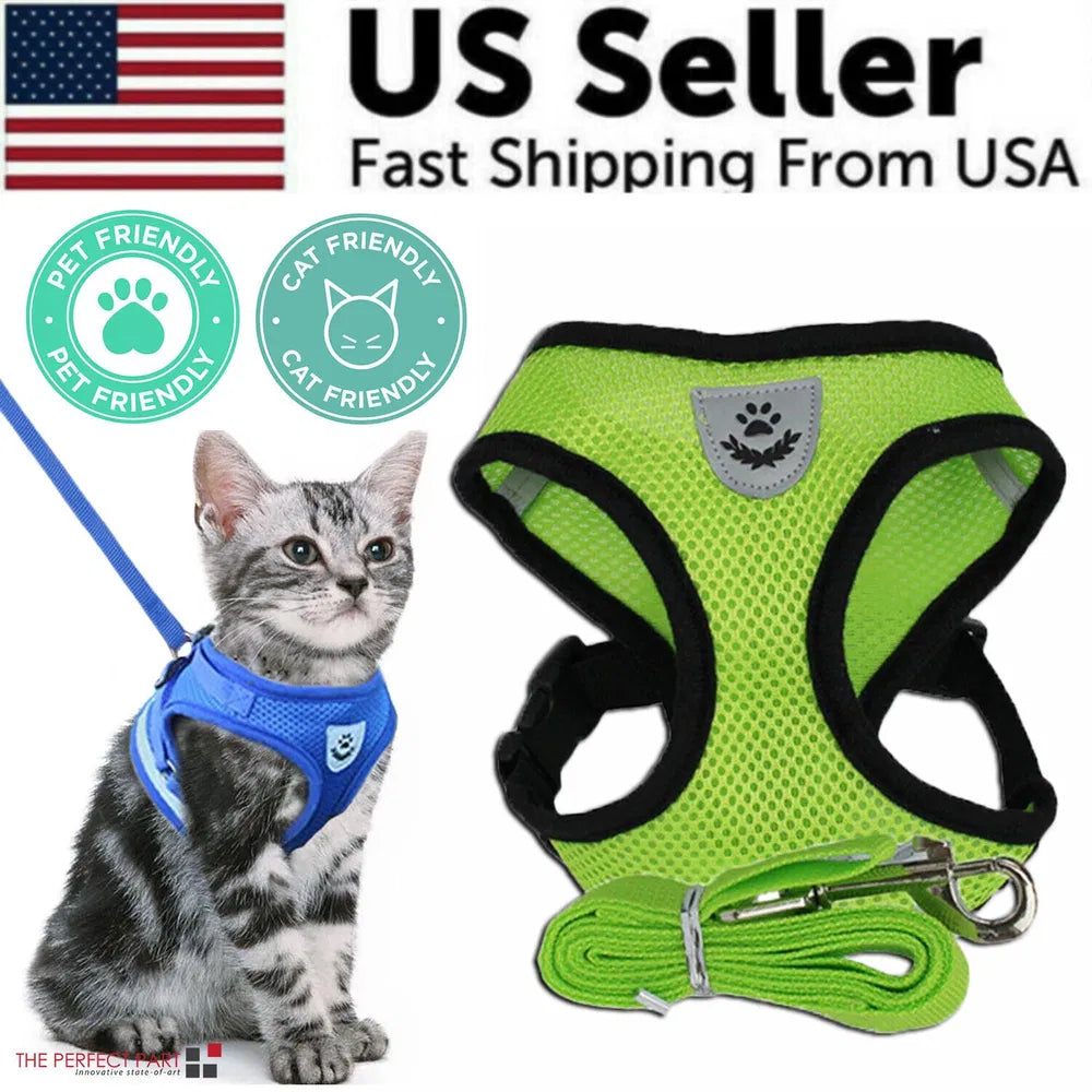 Adjustable Reflective Pet Vest Harness & Leash Set, Control Safety Vest for Cats & Small Dogs, S M L XL Sizes for Daily Walking