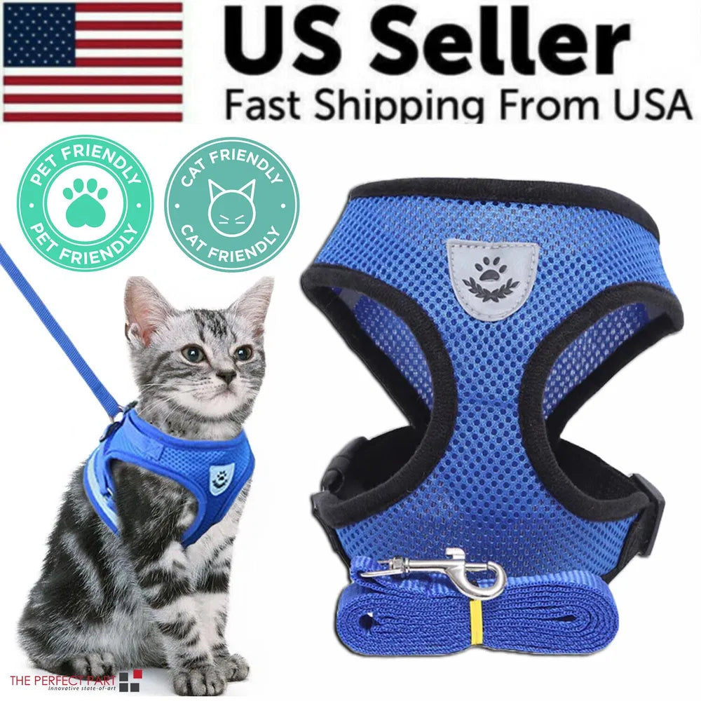Adjustable Reflective Pet Vest Harness & Leash Set, Control Safety Vest for Cats & Small Dogs, S M L XL Sizes for Daily Walking