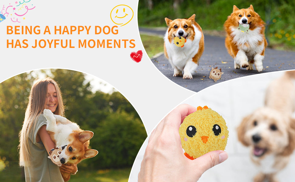 ZippyPaws3Pack Squeaky Dog Balls,2 in1 Funny Puppy Ball Toys,Birthday Dog Toy for Small Medium Dogs (Farm Ball)