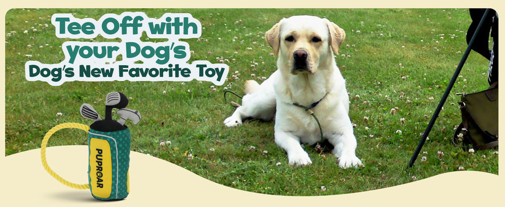 ZippyPaws Dog Toy, Funny Plush Squeaky Puppy Gift with Rope & Crinkle, Golf Bag Gift