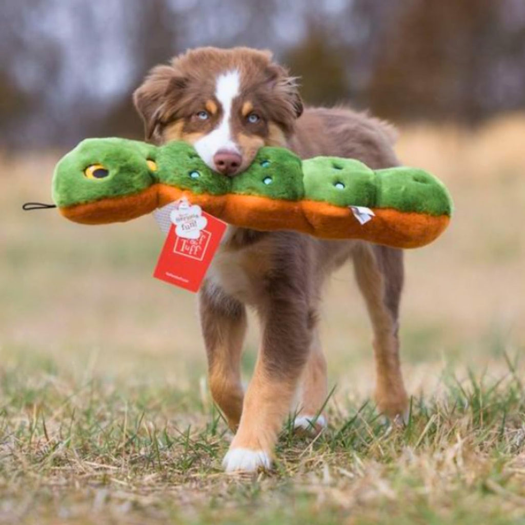 Fluff & Tuff Katie The Caterpillar