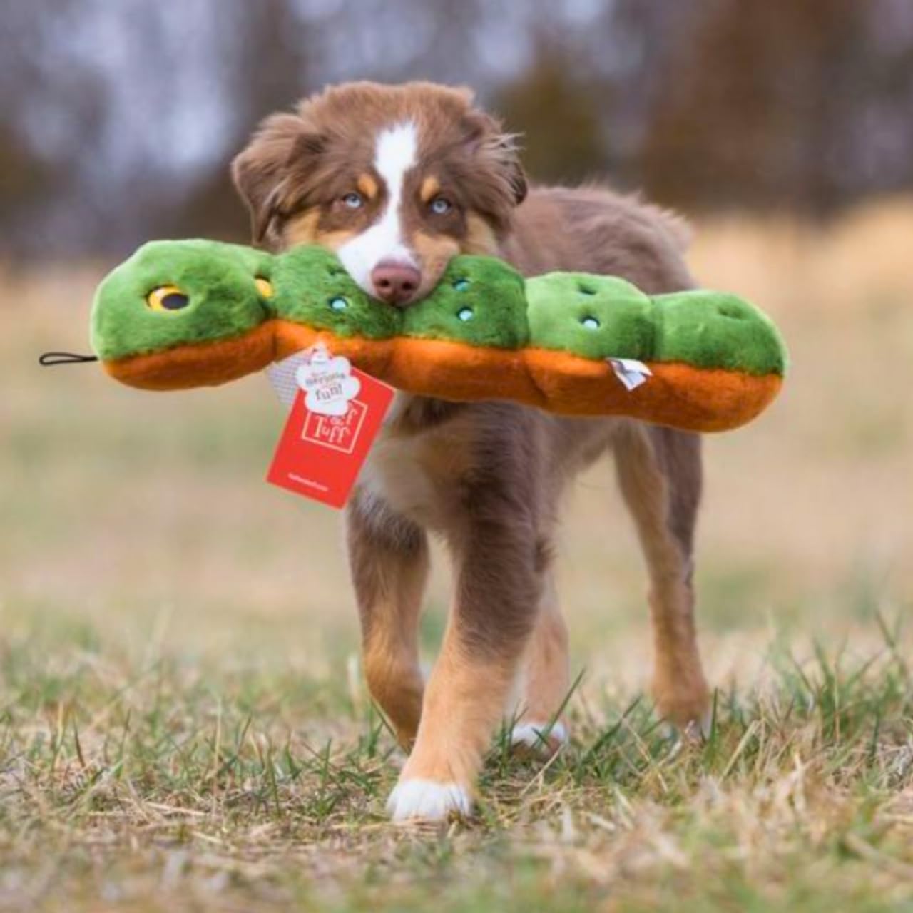 Fluff & Tuff Katie The Caterpillar
