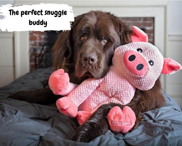 ZippyPaws Plush Pig Dog Toy | Heavy Duty Dog Toys for Dog Enrichment Toys for Large Dogs | Dog Toys Without Squeakers