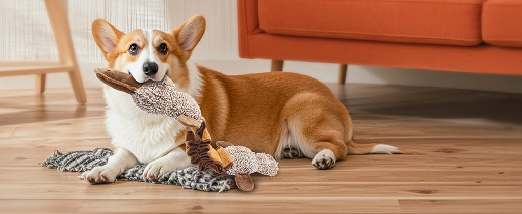 ZippyPaws Dog Toys, Stuffed Large Dog Toys to Keep Them Busy, Interactive Plush Chew Toys with Crinkle Paper, Tough Pet Animal Toys for Small Medium Large Dogs - Platypus