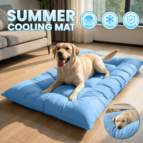 Extra Large Plush Dog Sofa Bed, Washable Bolster Pet Couch Bed for Large Medium Dogs & Cats