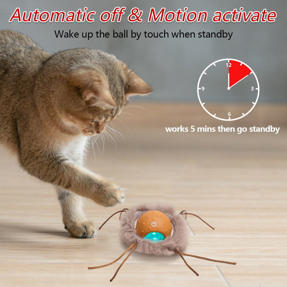Interactive Indoor Cat Toys: Rabbit Cover Fast - Moving Ball, Bird Chirping Toy & Automatic Kitten Toys