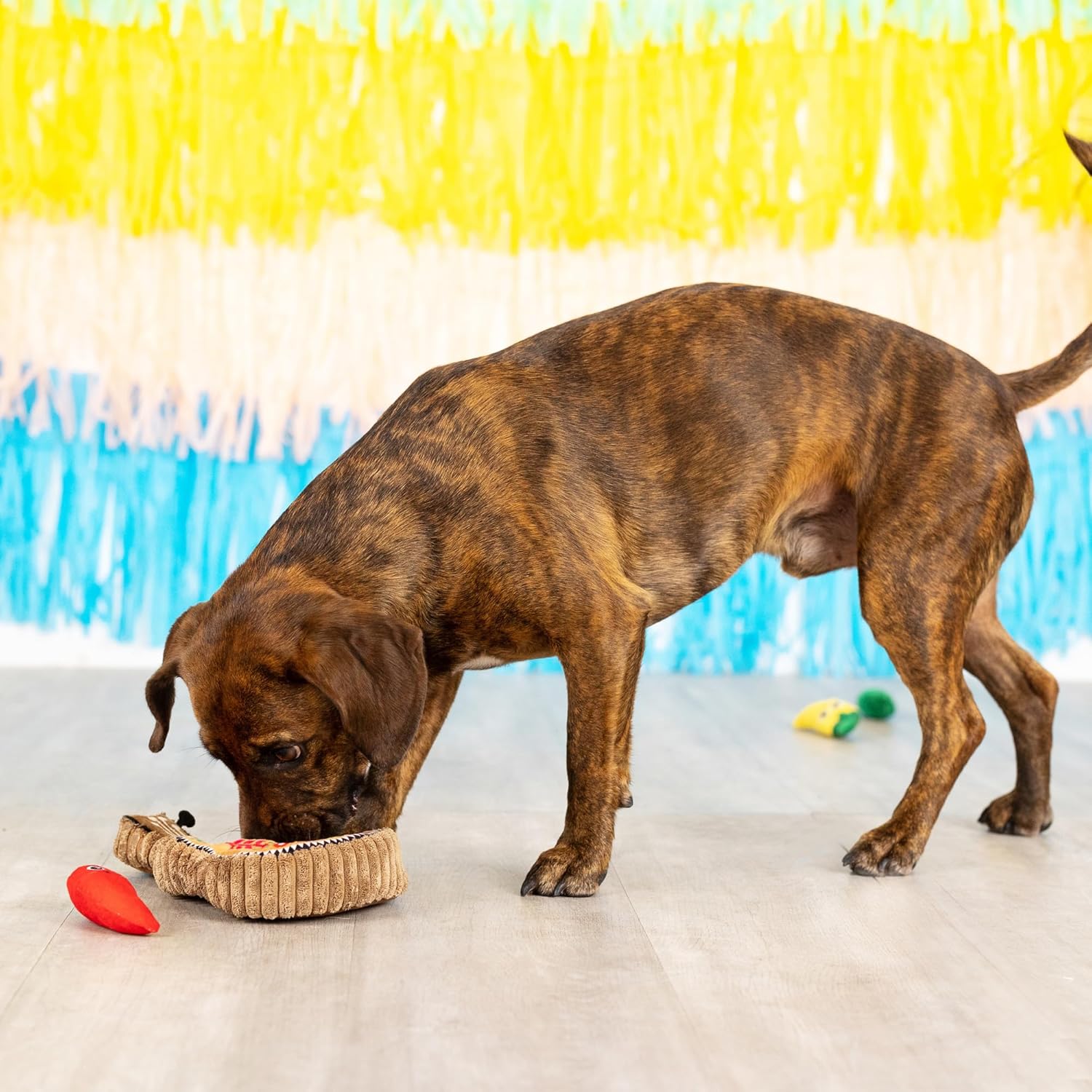 Fringe Studio Plush Dog Toy Set, Interactive Hide and Seek Play, Fiesta Till You Siesta, Pet Shop Collection (289226)