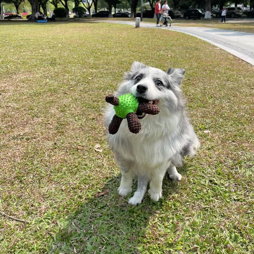 Squeaky Dog Toys, Interactive Durable Plush Pet Toys,Food Dispensing Toy,Funny Rubber Chew Puzzle Toy for Puppy Middle Large Dogs