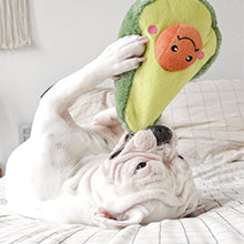 ZippyPaws NomNomz - Dog Squeaky Toys to Keep Them Busy, Funny Food Plush for Small & Medium Dogs, Cute Stuffed Puppy Toy, Pet Products, Gift for Dogs of All Breeds, Soft and Cuddly - Taco