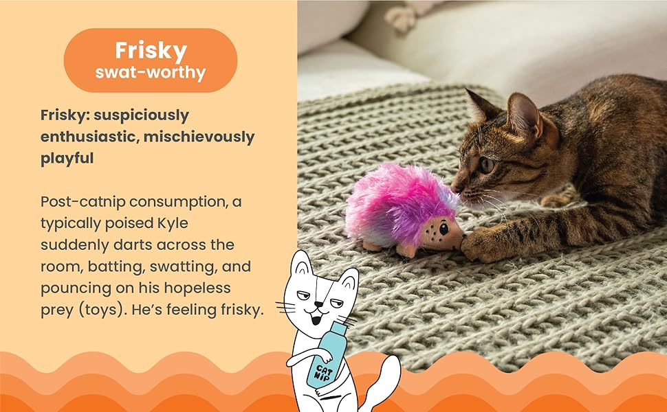 Catstages Crunchy Pickle Kicker Toy with Catnip and Dental Mesh, Pickle Shape, Plush and Crinkle Cat Toy for Kicking, Tossing, and Teeth Cleaning, Green