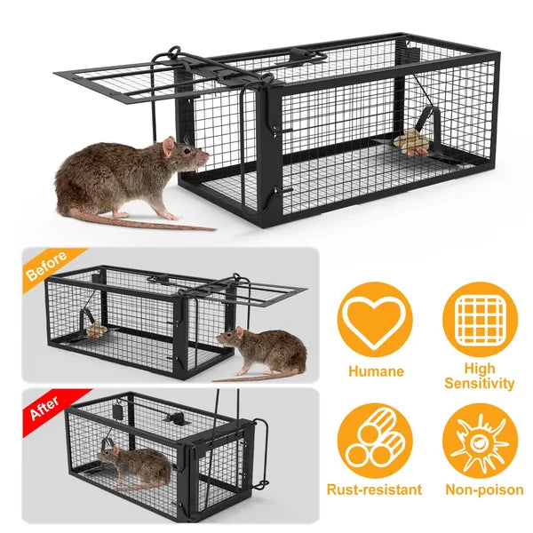 Fresh Fab Finds 1 Pack Humane Live Mouse Trap Cage, Galvanized Iron with Detachable U-Shaped Rod, Catch & Release for Indoor Outdoor