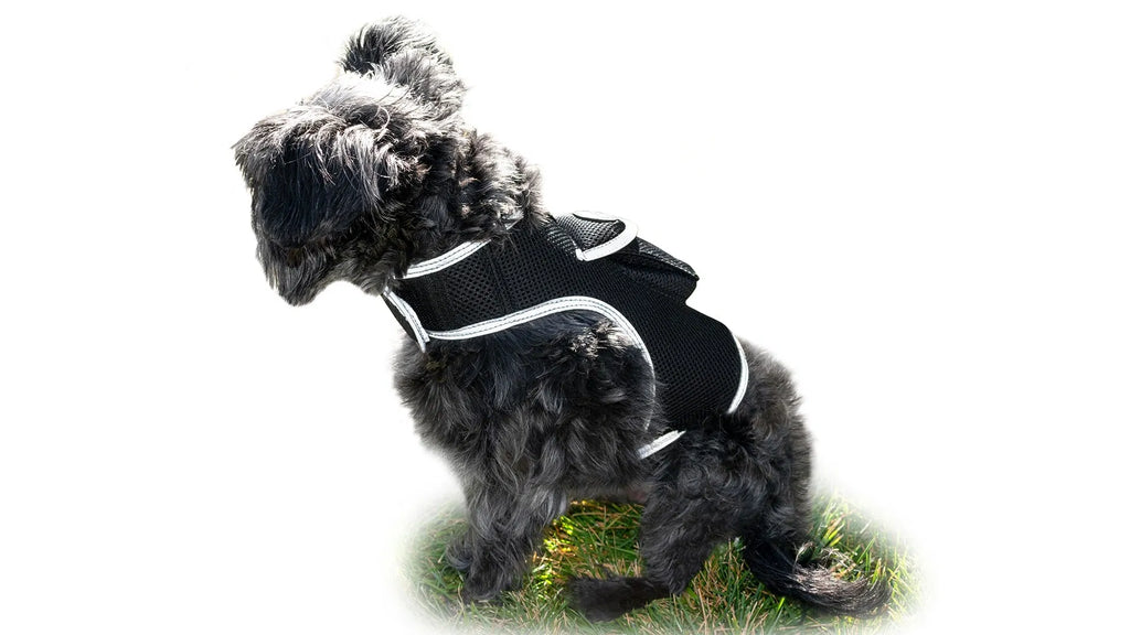 GPS Dog Tracker, Waterproof Pet Harness, Live Map, Virtual Fence, Escape Alerts, 4G LTE, Large Dogs (24-30 in), Week Battery