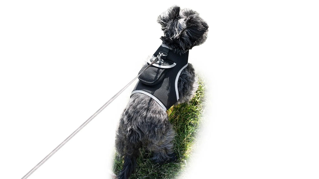 GPS Dog Tracker, Waterproof Pet Harness, Live Map, Virtual Fence, Escape Alerts, 4G LTE, Large Dogs (24-30 in), Week Battery