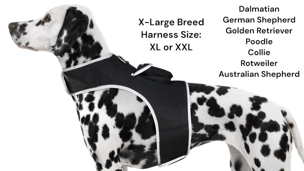 GPS Dog Tracker, Waterproof Pet Harness, Live Map, Virtual Fence, Escape Alerts, 4G LTE, Large Dogs (24-30 in), Week Battery