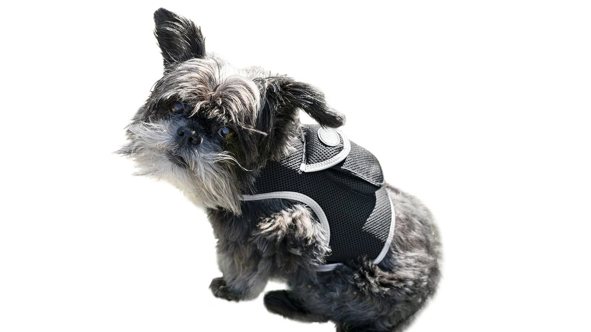 GPS Dog Tracker, Waterproof Pet Harness, Live Map, Virtual Fence, Escape Alerts, 4G LTE, Large Dogs (24-30 in), Week Battery