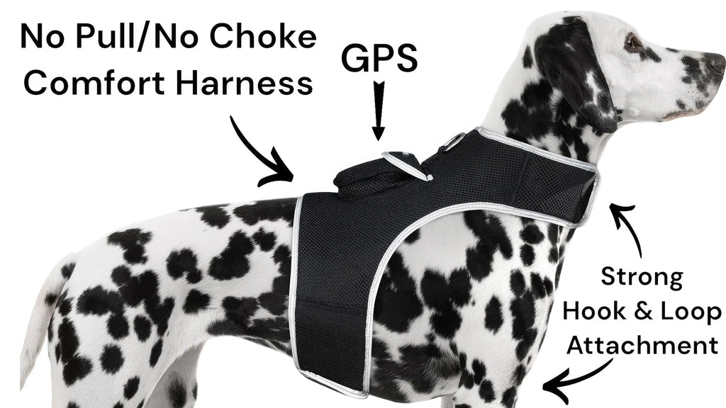 GPS Dog Tracker, Waterproof Pet Harness, Live Map, Virtual Fence, Escape Alerts, 4G LTE, Large Dogs (24-30 in), Week Battery