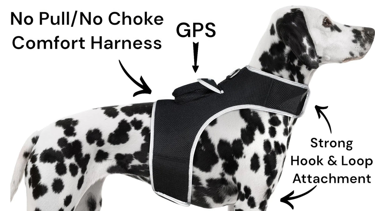 GPS Dog Tracker, Waterproof Pet Harness, Live Map, Virtual Fence, Escape Alerts, 4G LTE, Large Dogs (24-30 in), Week Battery