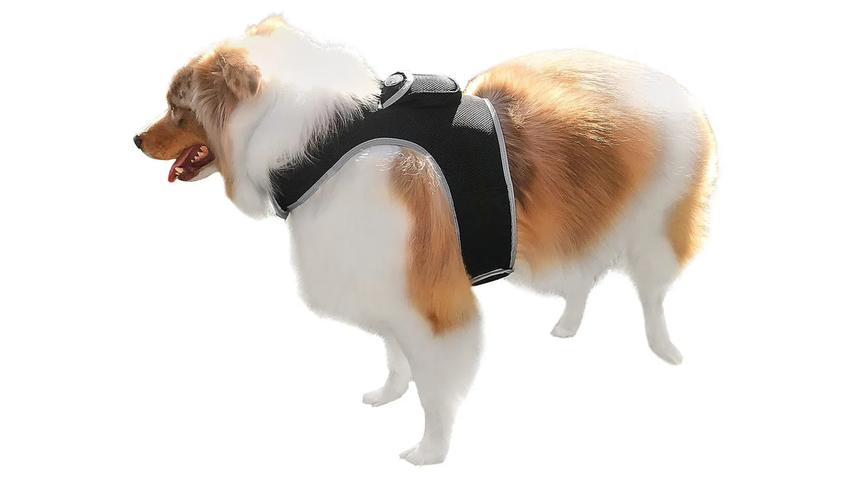 GPS Dog Tracker, Waterproof Pet Harness, Live Map, Virtual Fence, Escape Alerts, 4G LTE, Large Dogs (24-30 in), Week Battery