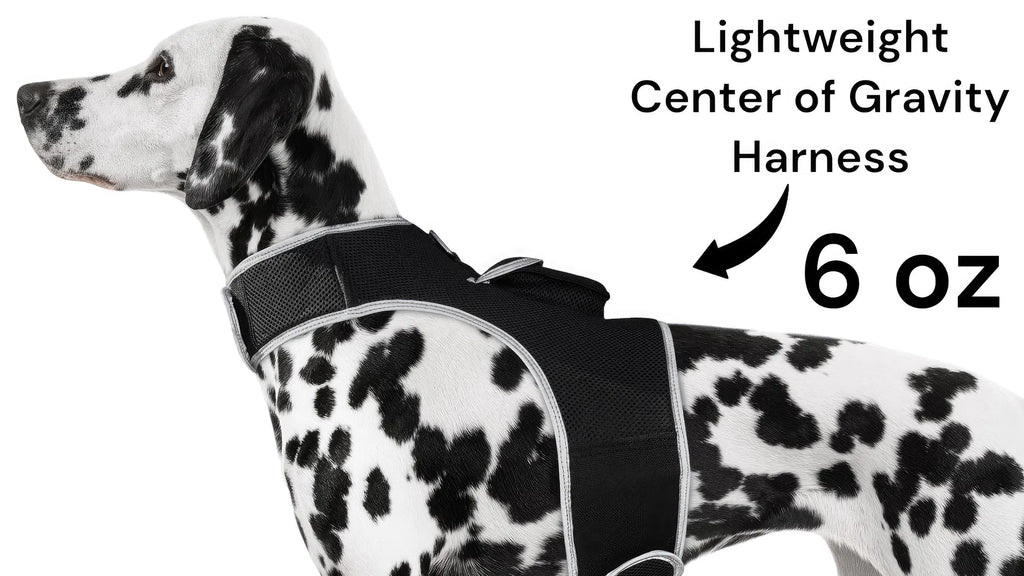 GPS Dog Tracker, Waterproof Pet Harness, Live Map, Virtual Fence, Escape Alerts, 4G LTE, Large Dogs (24-30 in), Week Battery