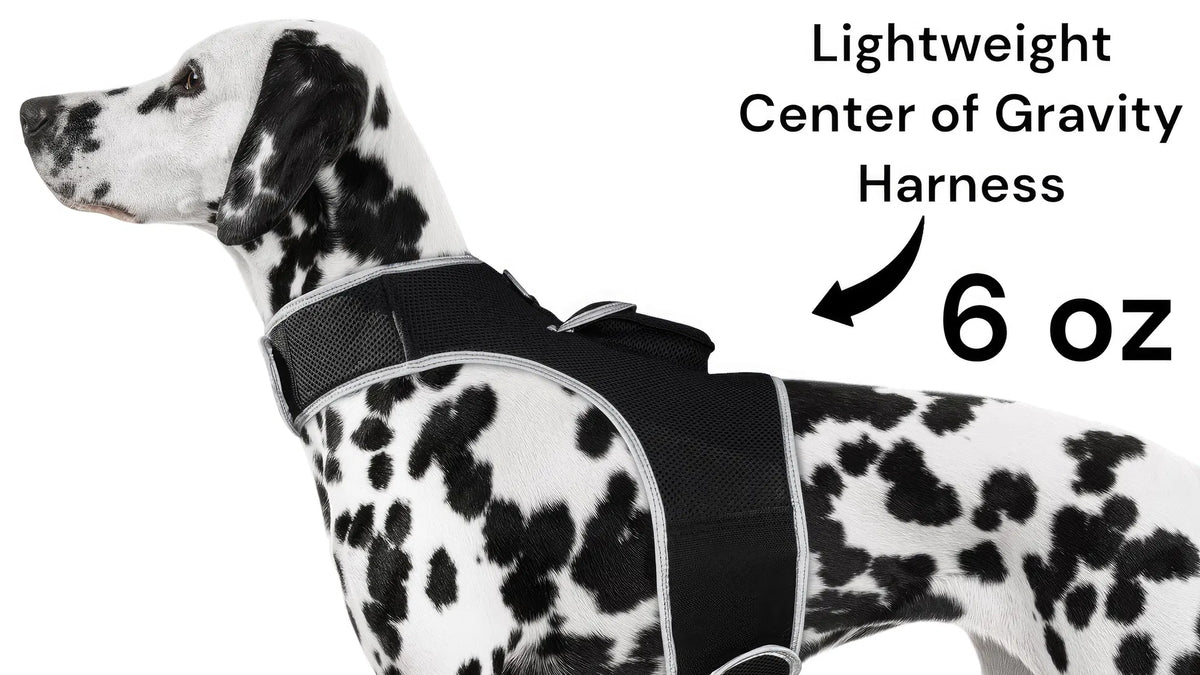 GPS Dog Tracker, Waterproof Pet Harness, Live Map, Virtual Fence, Escape Alerts, 4G LTE, Large Dogs (24-30 in), Week Battery