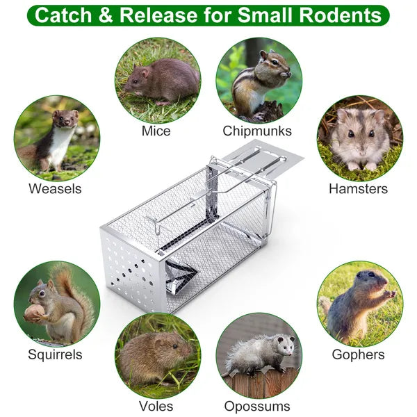 Humane Rat Trap Cage – Stainless Steel Live Catch & Release, High-Sensitivity Auto-Lock Door, Indoor/Outdoor, Reusable
