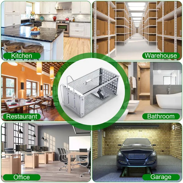 Humane Rat Trap Cage – Stainless Steel Live Catch & Release, High-Sensitivity Auto-Lock Door, Indoor/Outdoor, Reusable