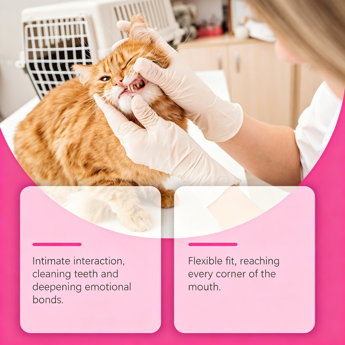 Pet Dental Finger Wipes for Dogs & Cats, 50 Count Gentle Oral Cleaning Wipes, Remove Plaque, Freshen Breath, Natural Aloe & Chamomile for Pet Teeth Gum Care