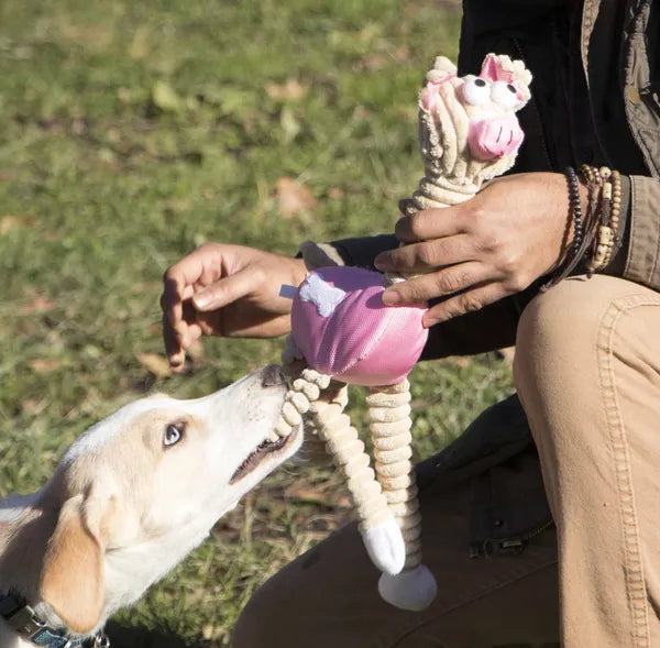 Crinkle Plush Pig Dog Squeaky Toy, Stretchy Corded Body Interactive Tug Chew Toy for Puppy & Medium Dogs