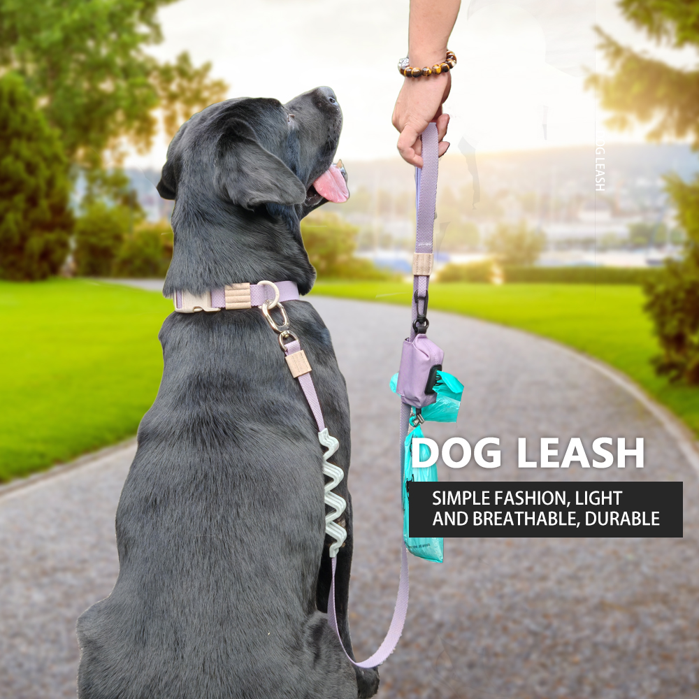 No-Pull Shock Absorbing Dog Leash with Elastic Bungee – Heavy Duty Rope Training Lead for Medium & Large Dogs, Padded Handle for Comfortable Grip
