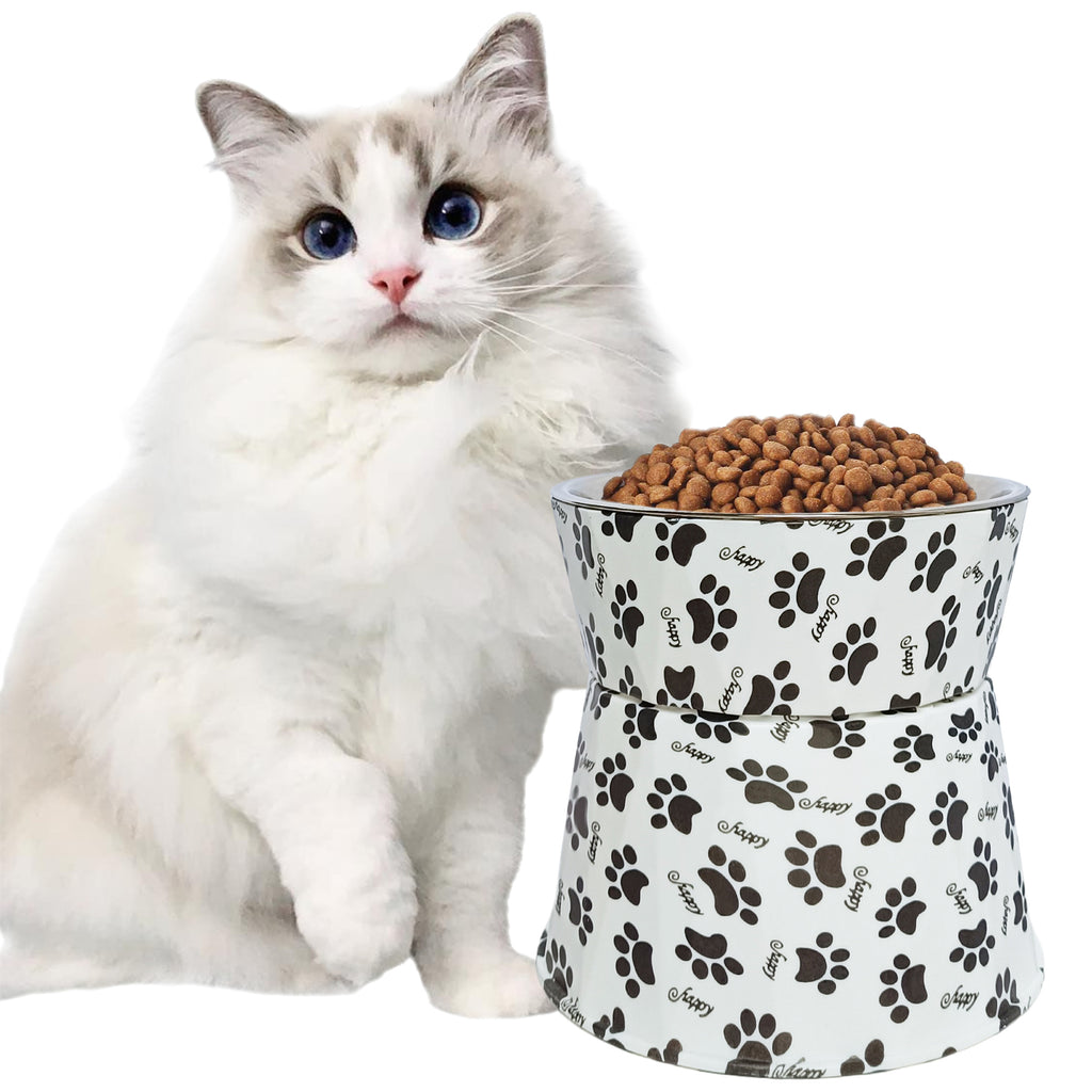 SSY 6" Anti-Vomiting Stainless Steel Pet Bowl, Non-slip Modern Design with Spine Protection for Small/Medium Dogs & Cats