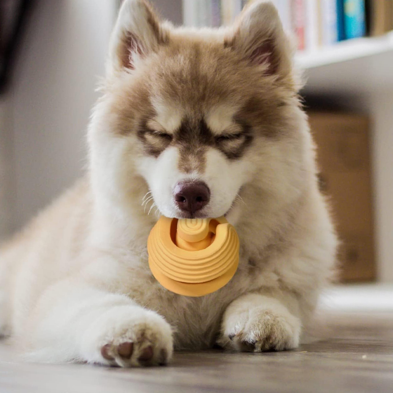 Sturdy Mobius Ball Dog Toy – Durable Food Dispenser & Training Chew Toy for All Dogs