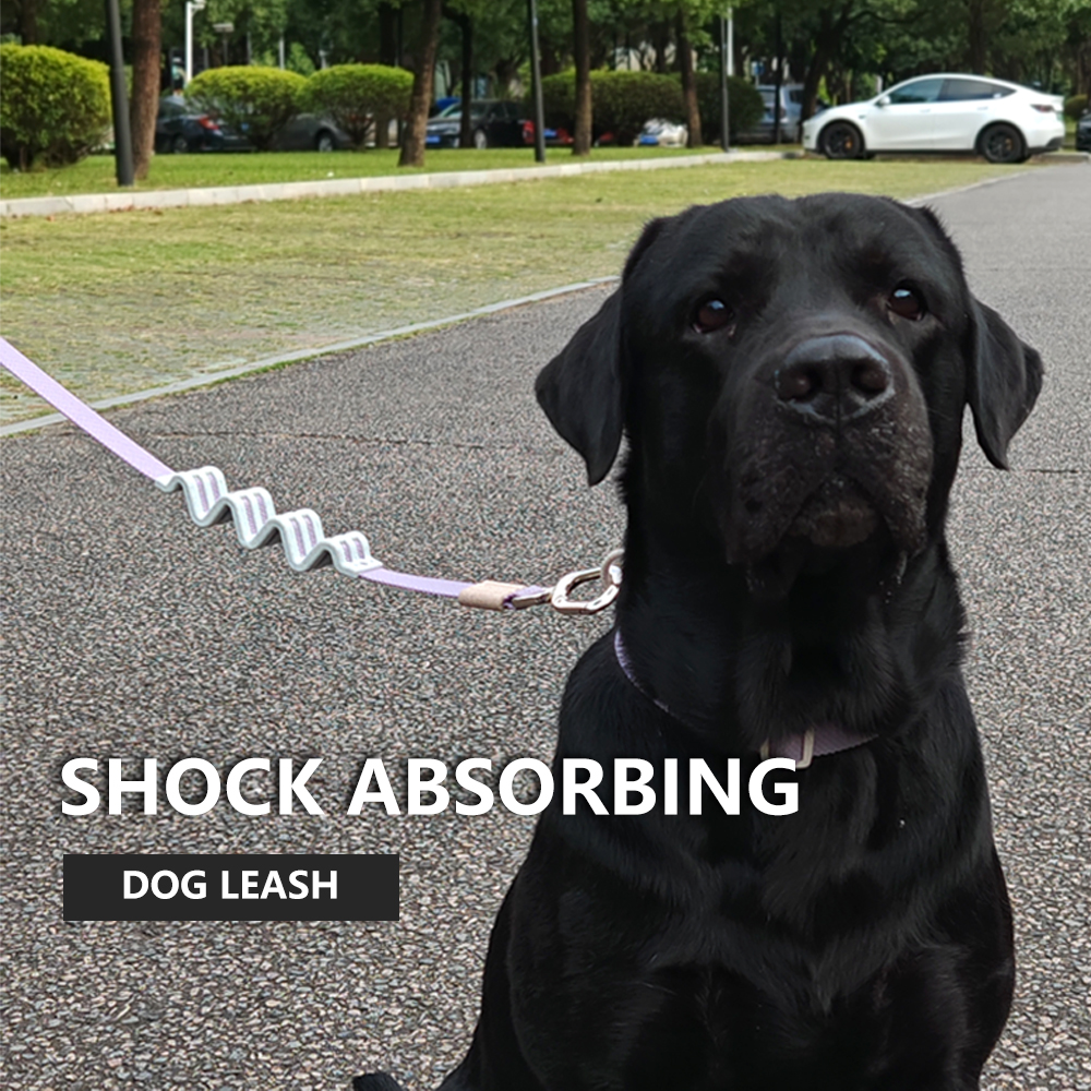 No-Pull Shock Absorbing Dog Leash with Elastic Bungee – Heavy Duty Rope Training Lead for Medium & Large Dogs, Padded Handle for Comfortable Grip